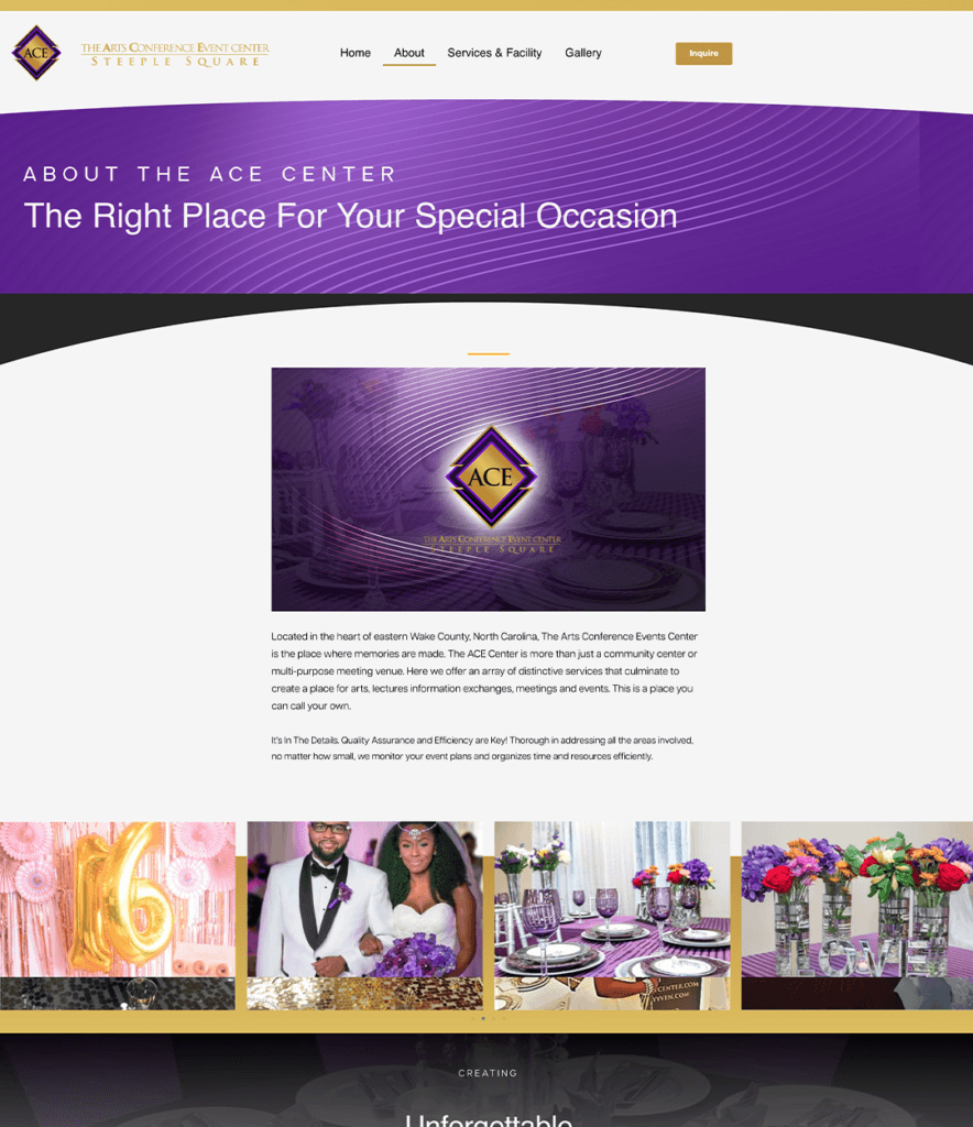Our Work Website Design The Ace Center
