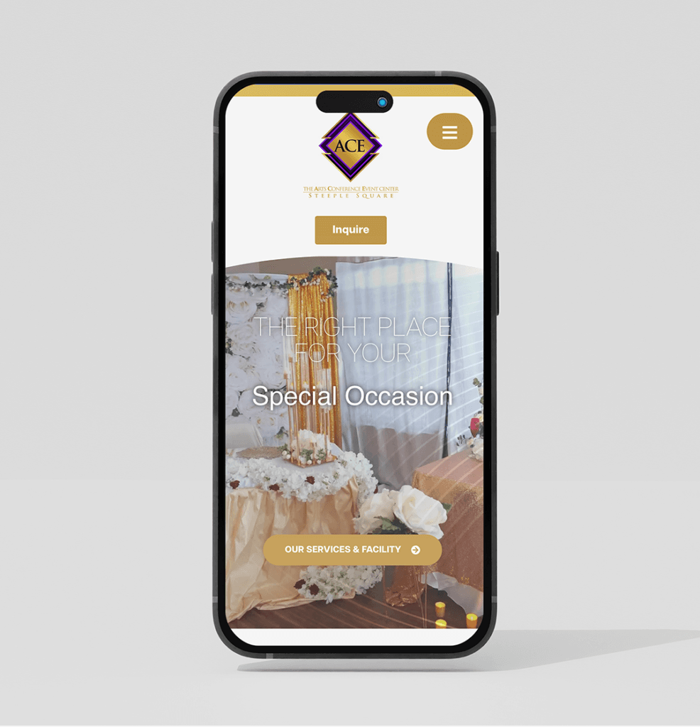 Our Work Website Design The Ace Center