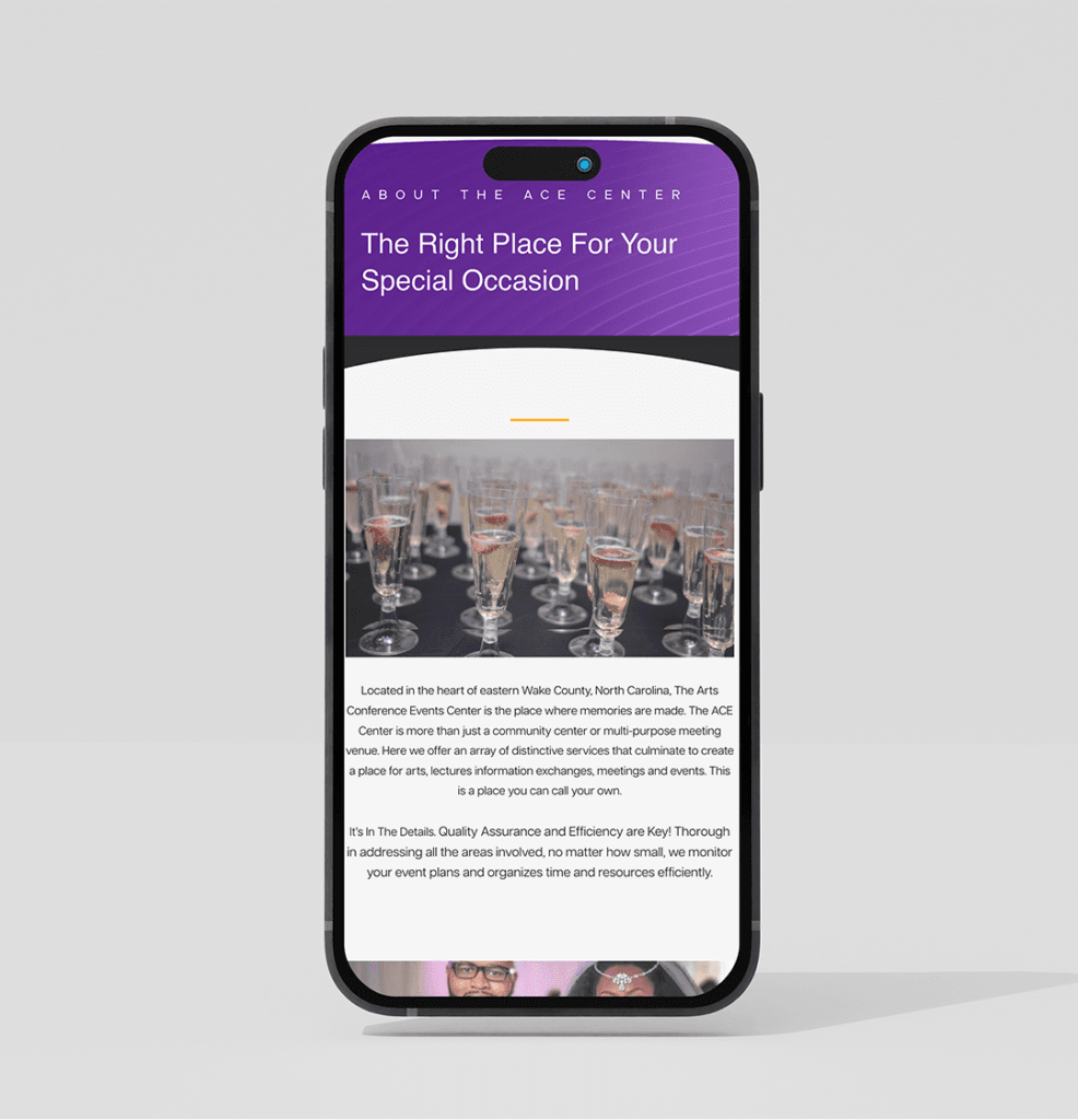 Our Work Website Design The Ace Center