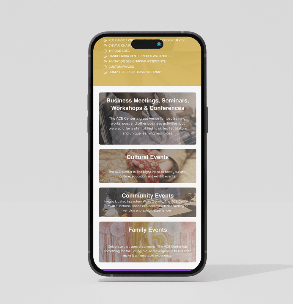 Our Work Website Design The Ace Center